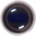 Chamois Eyes 24MM