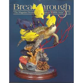 breakthrough magazine 111 (latest issue)