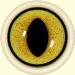Cat Eyes (Large Pupil) 16MM
