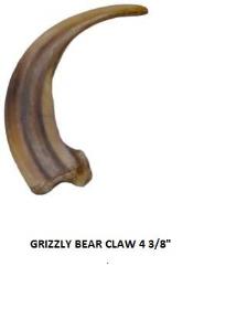 reproduction grizzly bear claw 4 3/8
