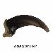 Reproduction Wolf Claw