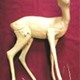 Roe Deer  Fawn Form FRD1
