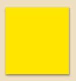 wa260 bright yellow 4oz