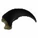 Reproduction Black Bear Claw Large