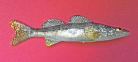 replica walleye bait fish  7