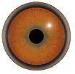 Tohickon Competition Tiger Eyes 30MM