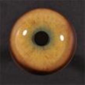 tohickon yellow/green leopard eyes 24mm