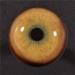 Tohickon Yellow/Green Leopard Eyes 24MM