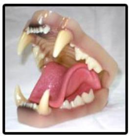 mt lion jaw and tongue set (med)