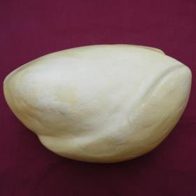 capercaille body form