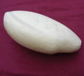 Image result for taxidermy forms birds