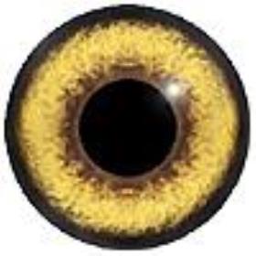 glass boobok eyes 16mm