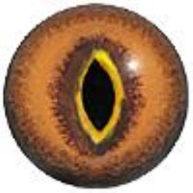 iguana eyes 12mm